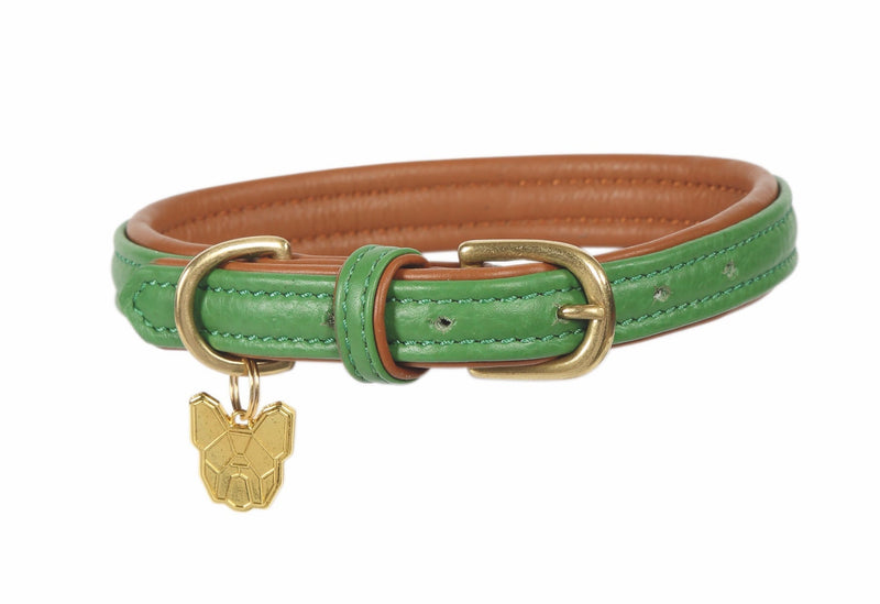 Shires Digby and Fox Padded Leather Dog Collar Dog Collars & Leashes Shires Equestrian Green Large 