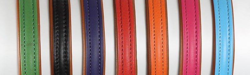 Shires Digby and Fox Padded Leather Dog Collar Dog Collars & Leashes Shires Equestrian 