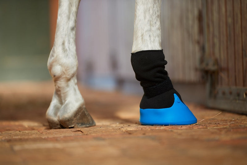 Shires Horse Tubbease Hoof Sock Hoof Socks Shires Equestrian 