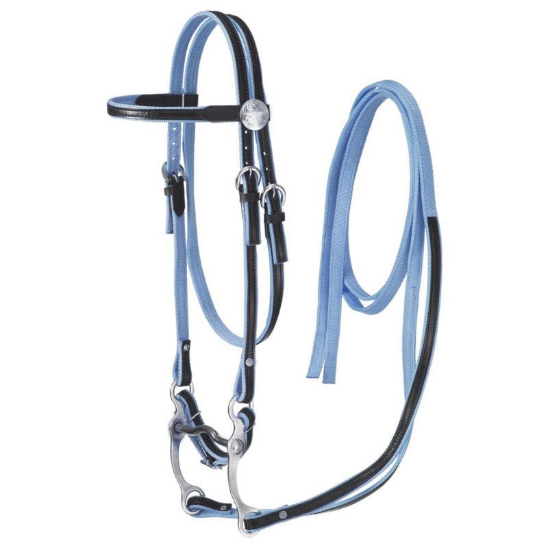Turquoise King Series Miniature Nylon With Leather Bridle JT International