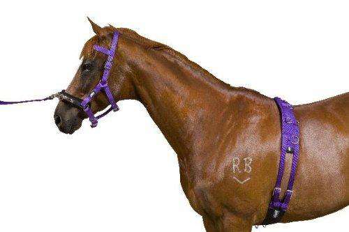 Kincade Equigrip Lunge Kit Lunging Systems Kincade 