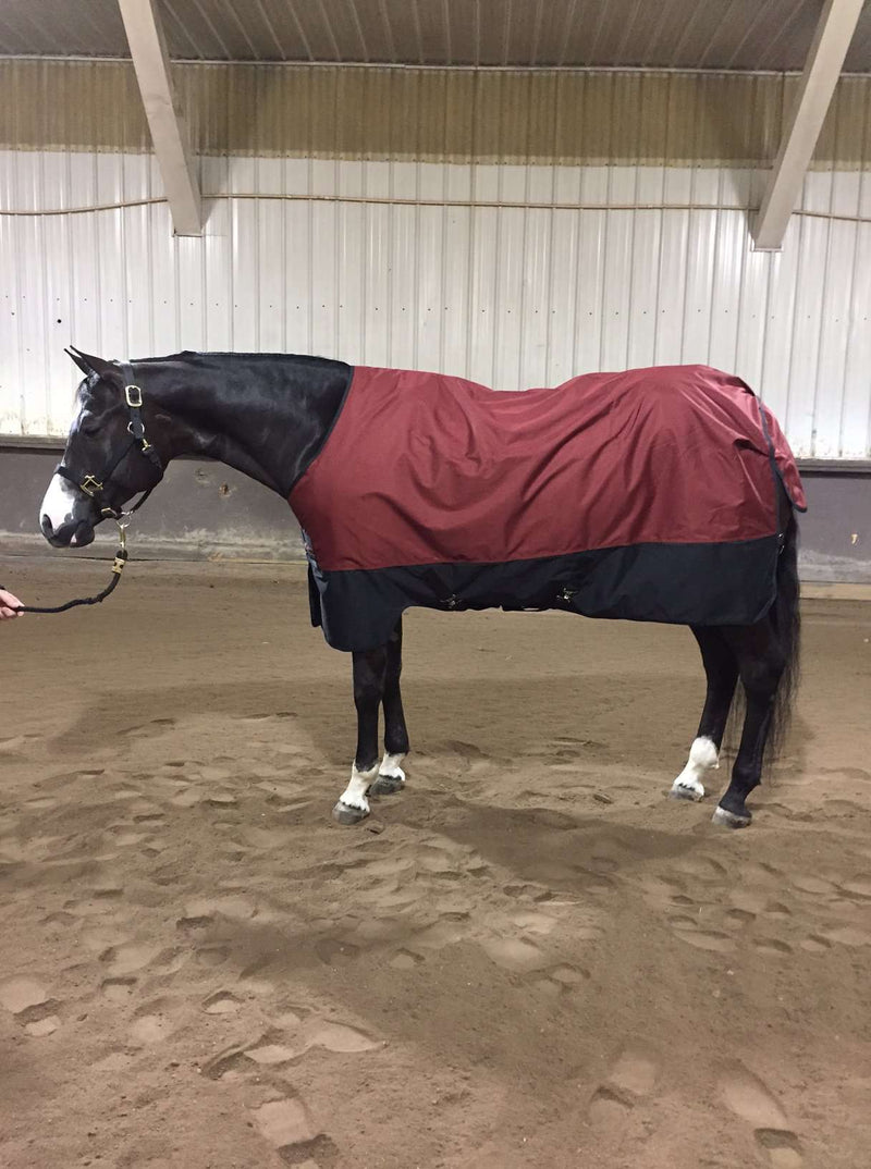 Horseware For One Stop Turnout Blanket Lite Hero Turnout Blankets Horseware 