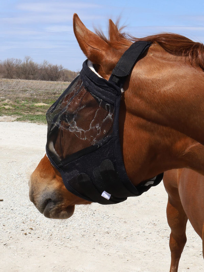 Added mesh in Black BasEQ Fly Mask without Ears One Stop Equine Shop Pony