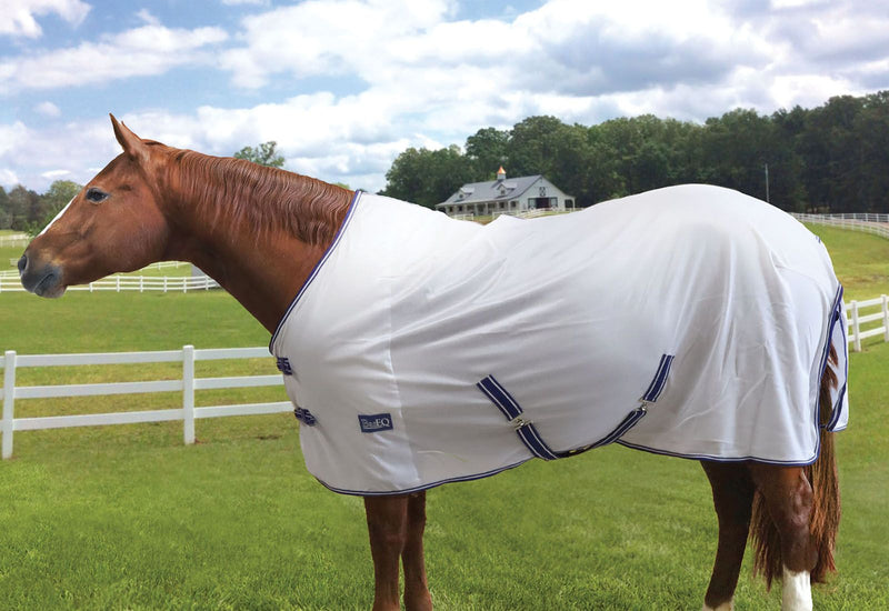 Horse in field wearing White/BasEQ Blue BasEQ Standard Neck Fly Sheet Fly Sheets One Stop Equine Shop