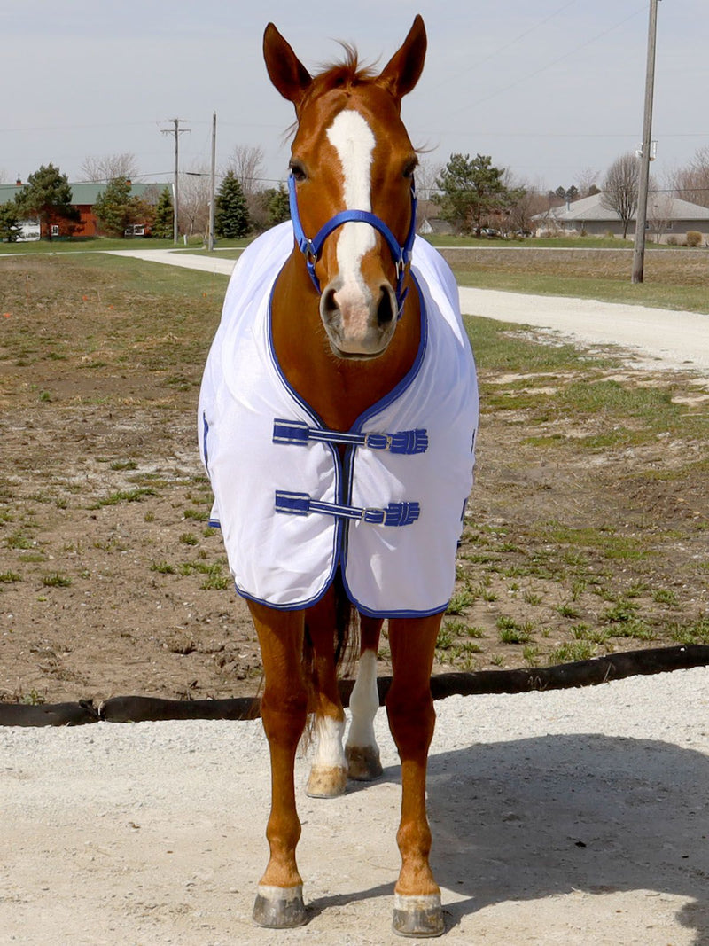 BasEQ Standard Neck Fly Sheet Fly Sheets One Stop Equine Shop 