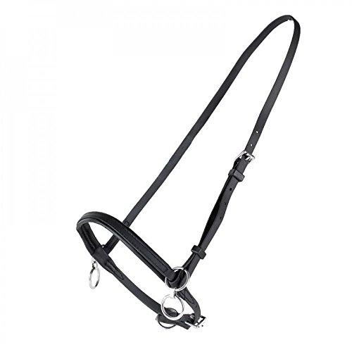 Finntack Synthetic Head Halter - Martingale Ring Martingales Horze Black Cob 