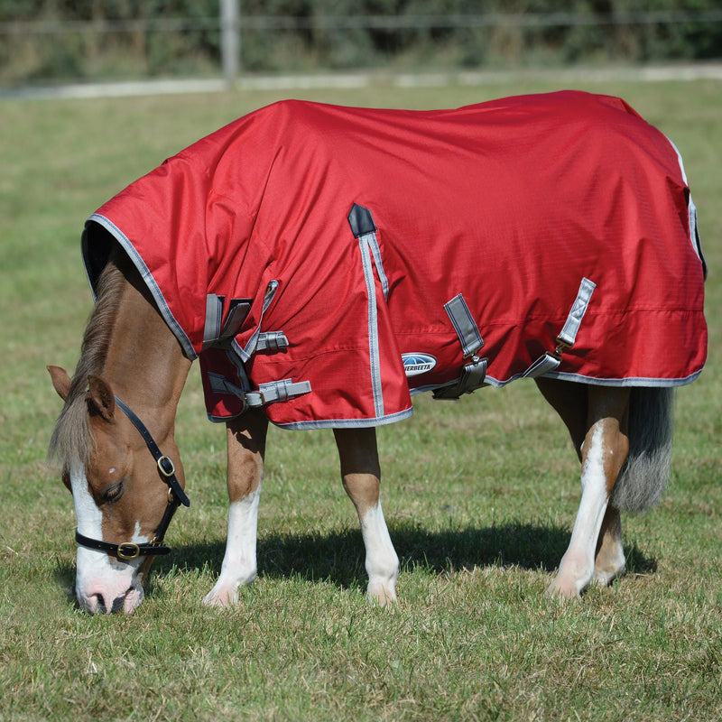 Brown Horse Grazing wearing Red/Silver/Navy Weatherbeeta Comfitec Classic Combo Neck Medium Turnout Blankets