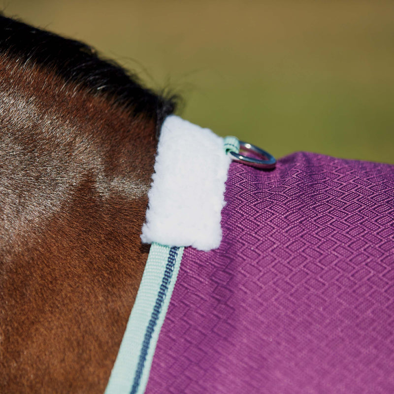 Top view of Purple/Navy/Mint Weatherbeeta Comfitec Premier Freedom Pony Standard Neck Medium Turnout Blankets