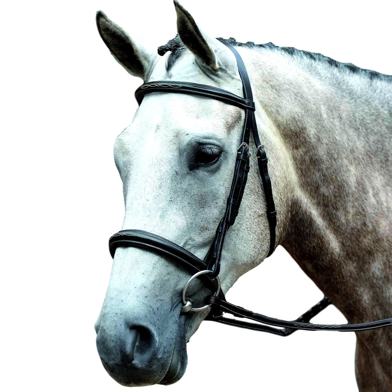Collegiate Essential Padded Raised Fancy Stitched Cavesson Bridle English Bridles Collegiate Cob Brown 