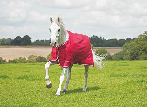 Shires Tempest Original Air Dri 100g Turnout Sheet Turnout Sheets Shires Equestrian Red/Grey 84" 