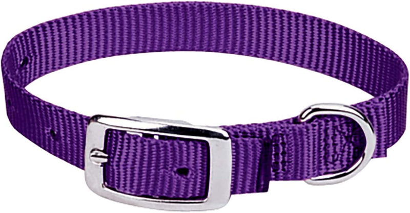 Weaver Leather Prism Choice Collar Misc Purple 5/8X11"