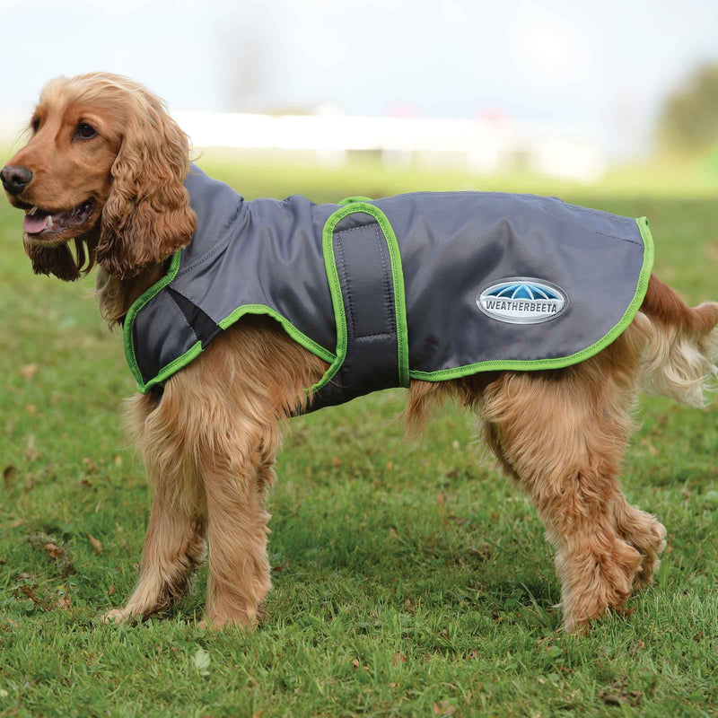 Dog Wearing Grey/Lime Weatherbeeta ComfiTec Windbreaker Free Deluxe Dog Coat Dog Coats