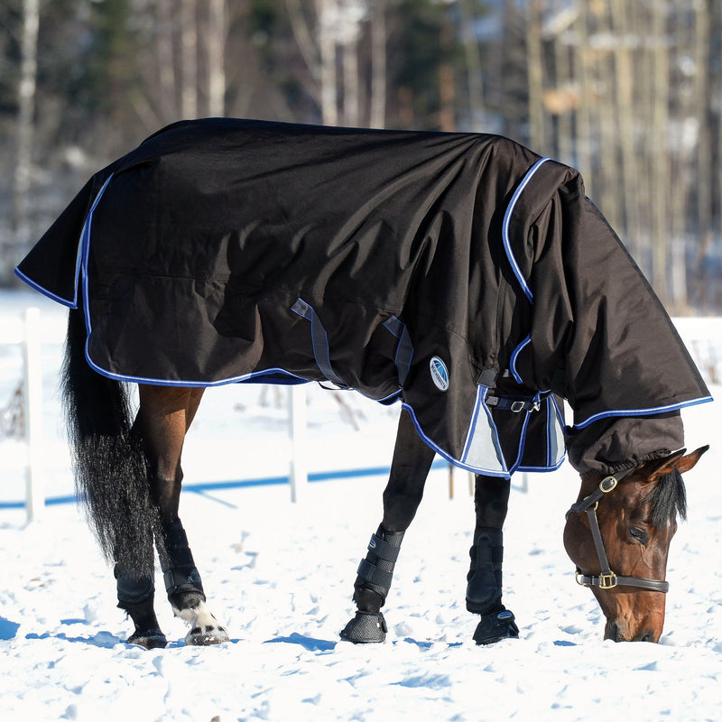 Horse grazing in snow wearing Charcoal/Blue/White Weatherbeeta Comfitec Ultra Cozi II Detach-A-Neck Heavy Turnout Blankets