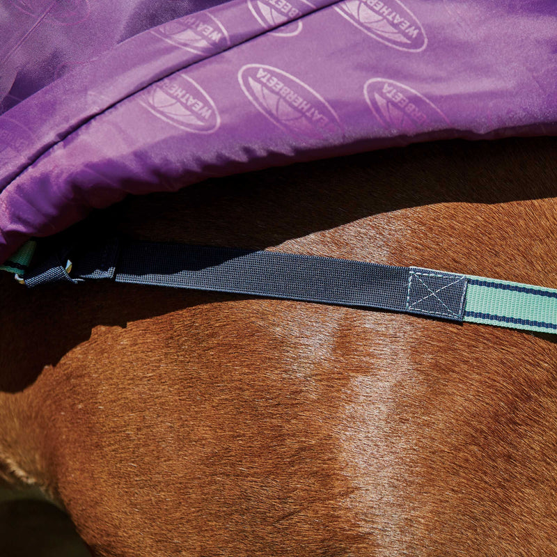 Inside strap Purple/Navy/Mint Weatherbeeta Comfitec Premier Freedom Pony Detach-A-Neck Medium Turnout Blankets