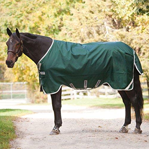Rambo Original Turnout Blanket 400G with Leg Arch Turnout Blankets Horseware Ireland Green/Silver 84" 