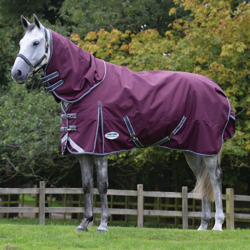 Horse Wearing Maroon/Grey/White Weatherbeeta Comfitec Plus Dynamic II Detach-A-Neck Medium Turnout Blanket
