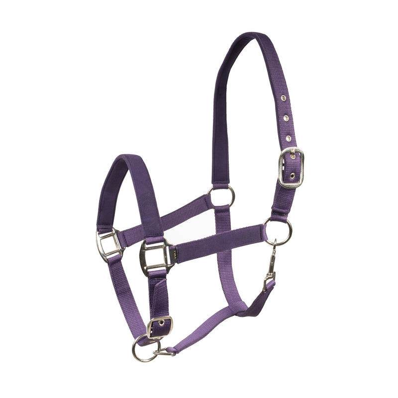 Horze Trapani Nylon Halter with Comfort Padding and Micro-Suede Lining Purple Pony