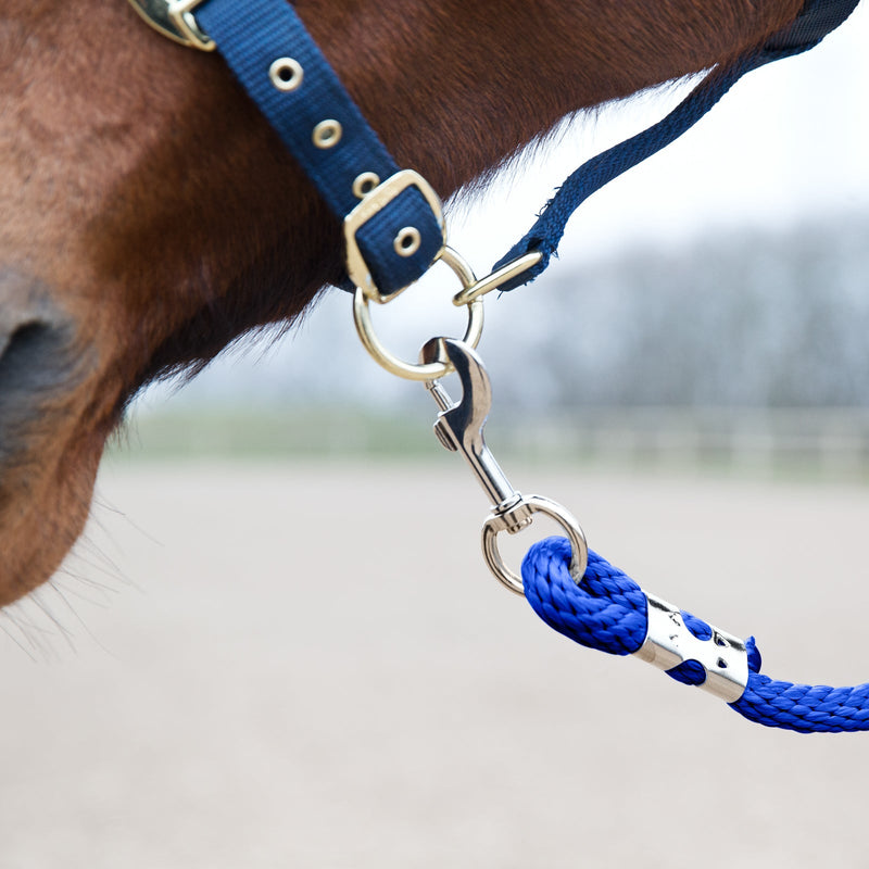 Blue Horze Poly Lead Rope Leads  on horse