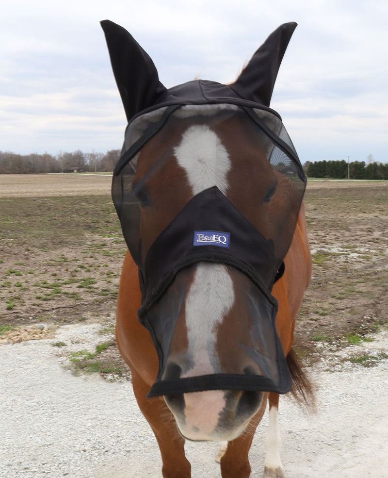 horse wearing Black BasEQ Fly Mask with Nose One Stop Equine Shop Pony