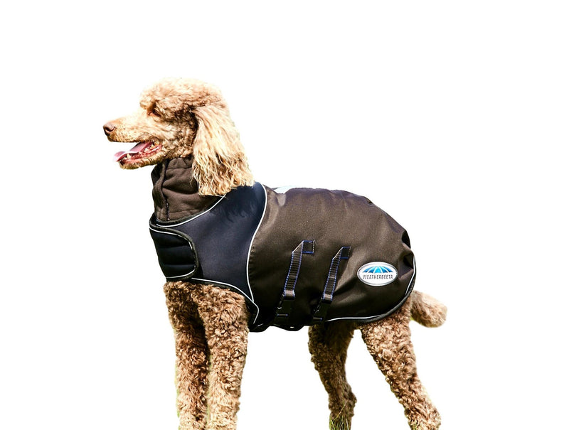 Dog wearing Charcoal/Blue/White Weatherbeeta ComfiTec Ultra Cozi Dog Coat Medium