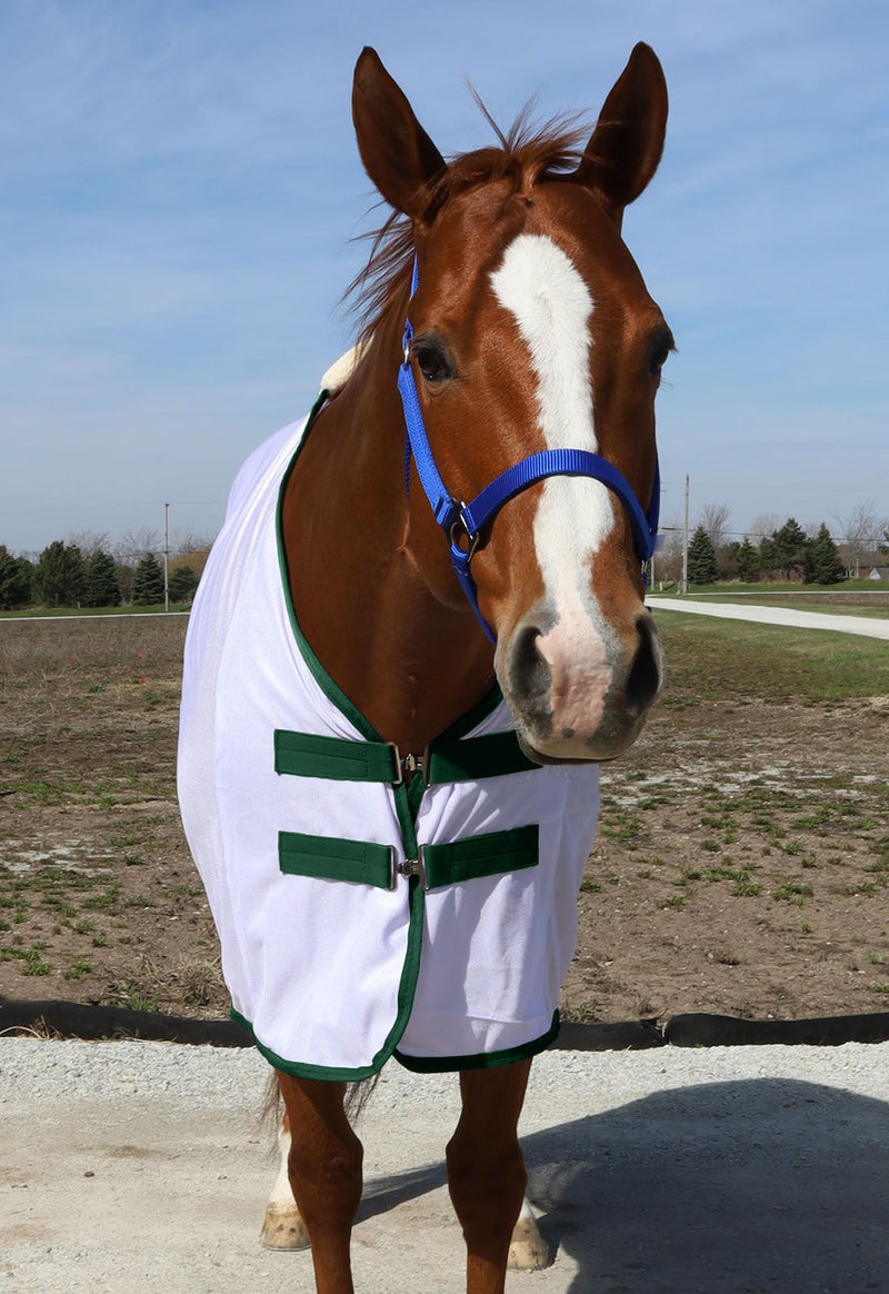 Front view of White/Hunter Green BasEQ Fly Sheet One Stop Equine Shop