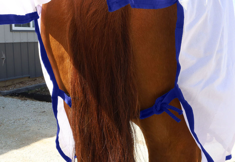 Back view of White/Blue BasEQ Fly Sheet with Belly Closure One Stop Equine Shop 63"