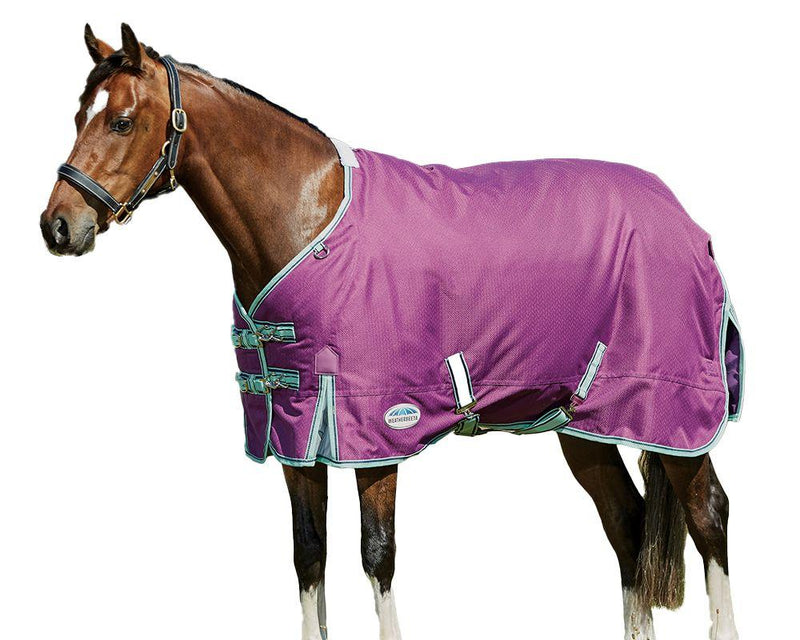 Horse on white background wearing Purple/Navy/Mint Weatherbeeta Comfitec Premier Freedom Pony Standard Neck Lite Turnout Blankets