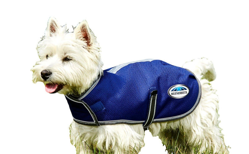 Dog Wearing Dark Blue/Grey/White Weatherbeeta ComfiTec Premier Free Parka Dog Coat Medium