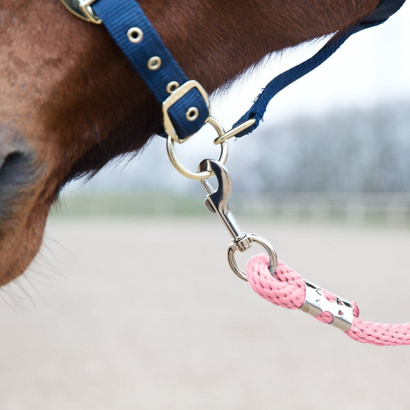 Pink Horze Poly Lead Rope Leads on horse