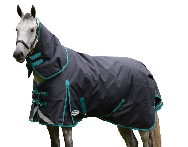 Horse on white background wearing Black/Aqua Weatherbeeta Comfitec Plus Dynamic II Detach-A-Neck Medium Turnout Blanket