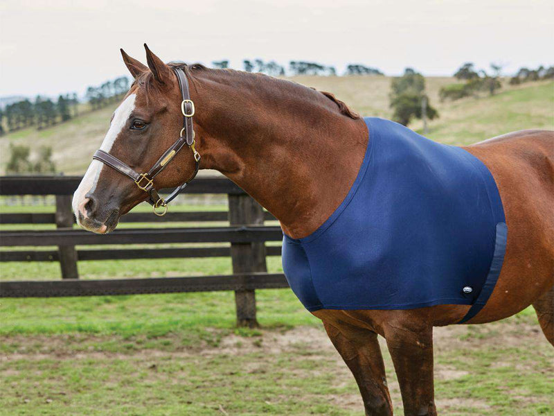Weatherbeeta Stretch Shoulder Guard Blanket Accessories Weatherbeeta Pony Navy 