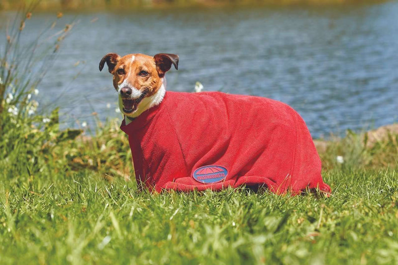 Weatherbeeta Dry-Dog Bag Dog Coats Weatherbeeta XXS Red 