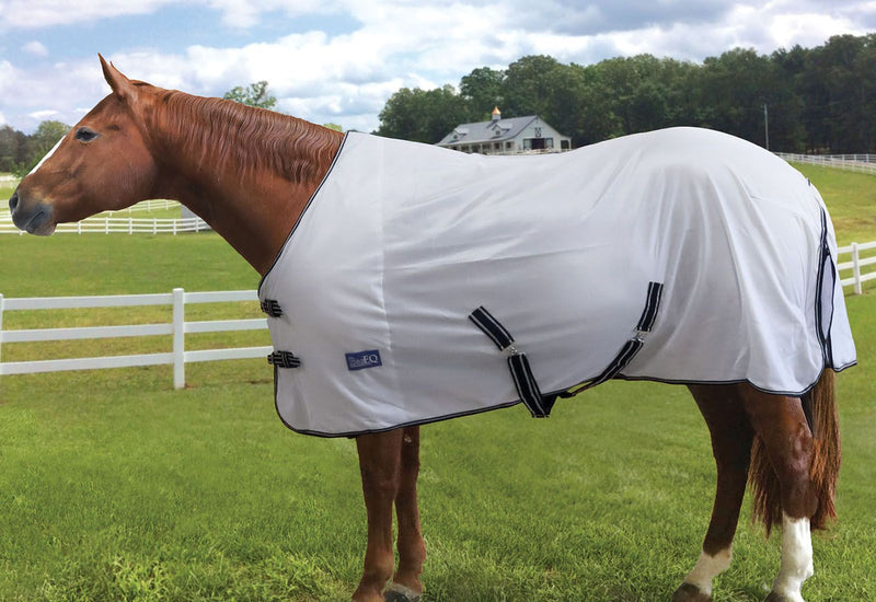 Horse in field wearing White/Black BasEQ Standard Neck Fly Sheet Fly Sheets One Stop Equine Shop