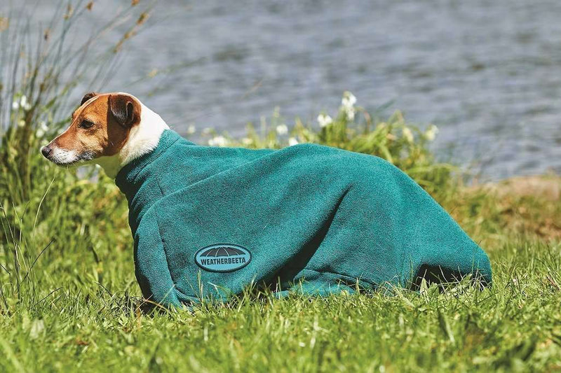 Weatherbeeta Dry-Dog Bag Dog Coats Weatherbeeta XXS Hunter Green 