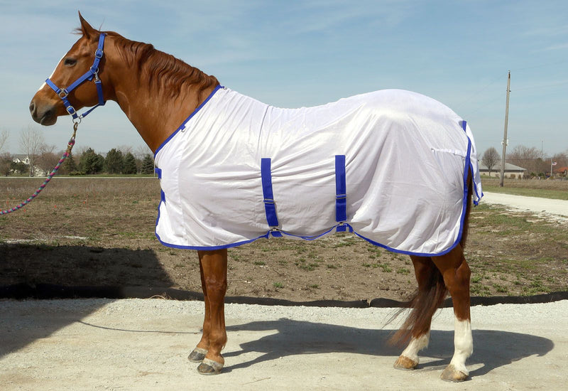 Side View of White/Blue BasEQ Fly Sheet with Belly Closure One Stop Equine Shop 63"