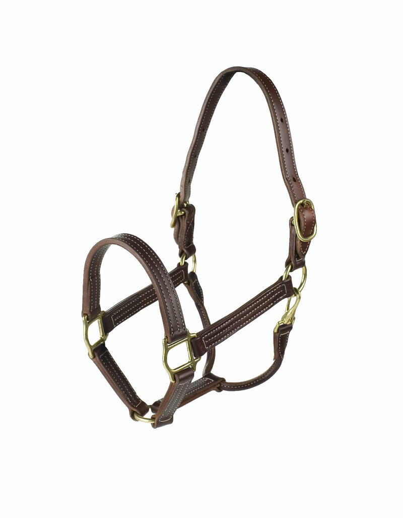 FinnTack American Quality Leather Halter with Adjustable Chin Strap Leather Halters Finn-Tack Cob Dark Brown 