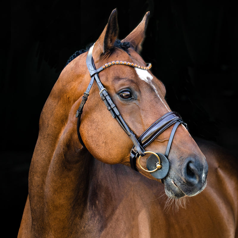 Horse Wearing Dark Brown Horze Clermont Ergonomic Crystal Bridle English Bridles