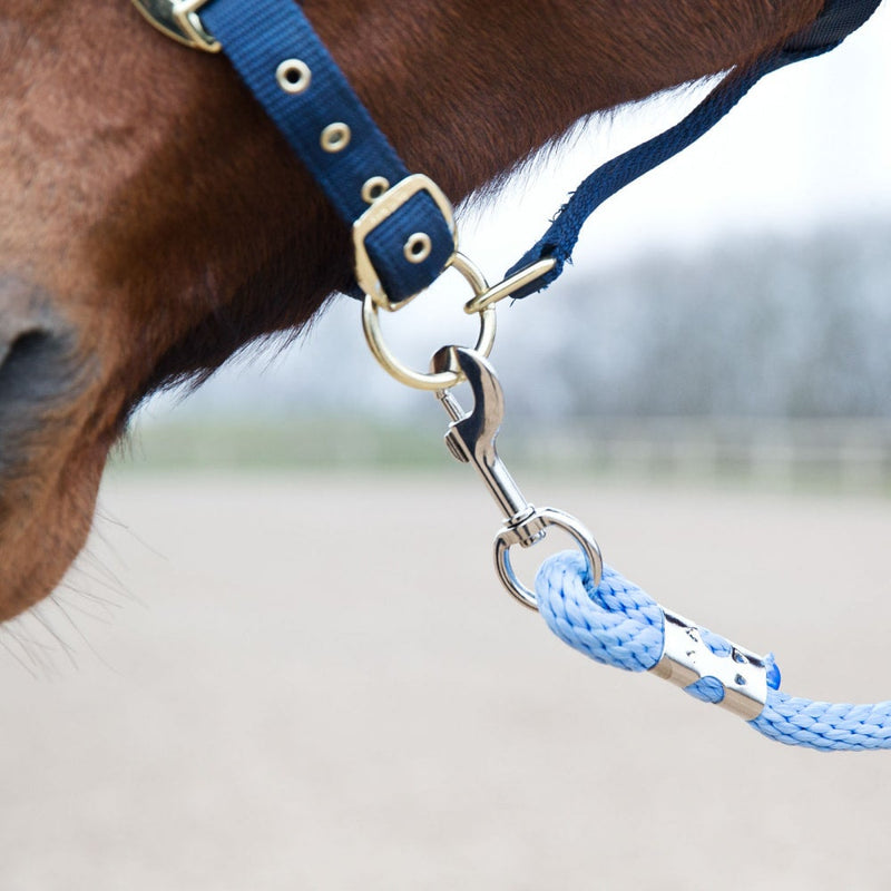 Light Blue Horze Poly Lead Rope Leads on Horse