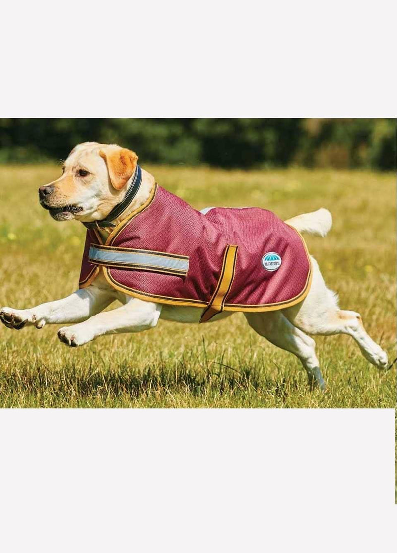 Weatherbeeta Parka 1200D Deluxe Dog Coat Dog Coats Weatherbeeta Burgundy/Gold 28" 
