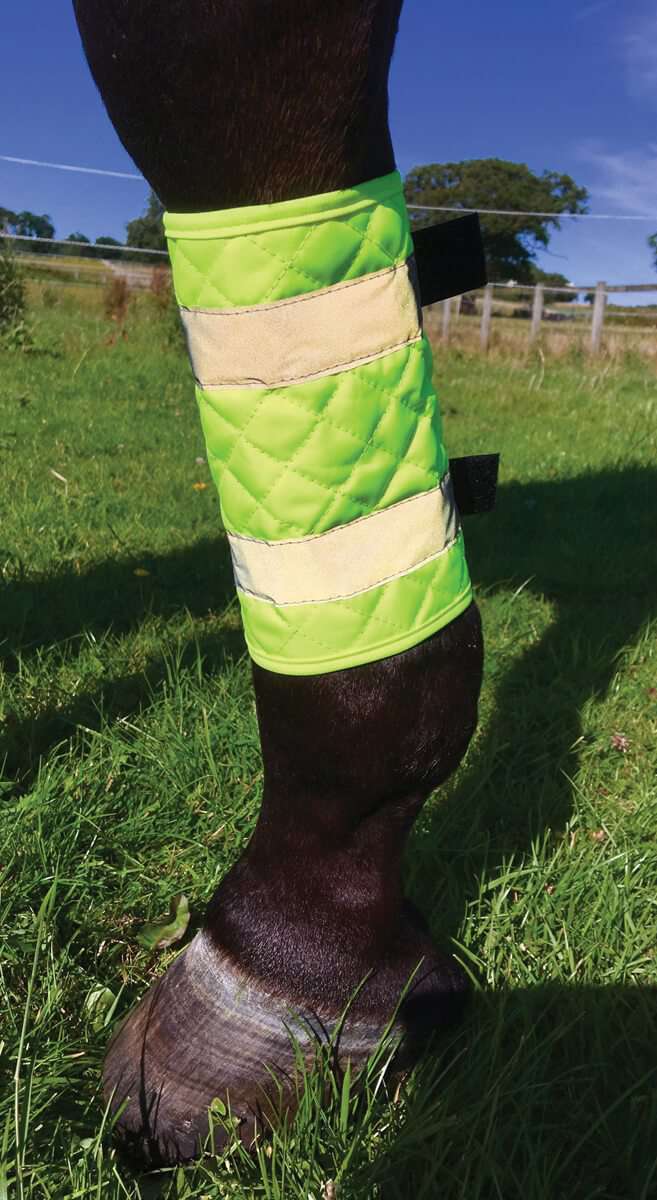 Equisafety Quilted Leg Boots Protective Accessories Equisafety Yellow 