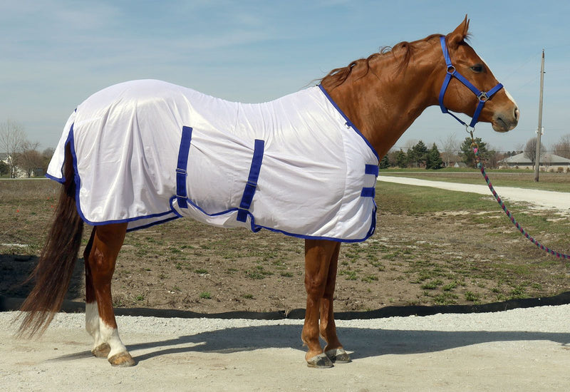 Horse wearing White/Blue BasEQ Fly Sheet with Belly Closure One Stop Equine Shop 63"
