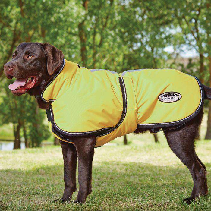 Weatherbeeta Parka 300D Deluxe Dog Coat Dog Coats Weatherbeeta 12" Yellow 