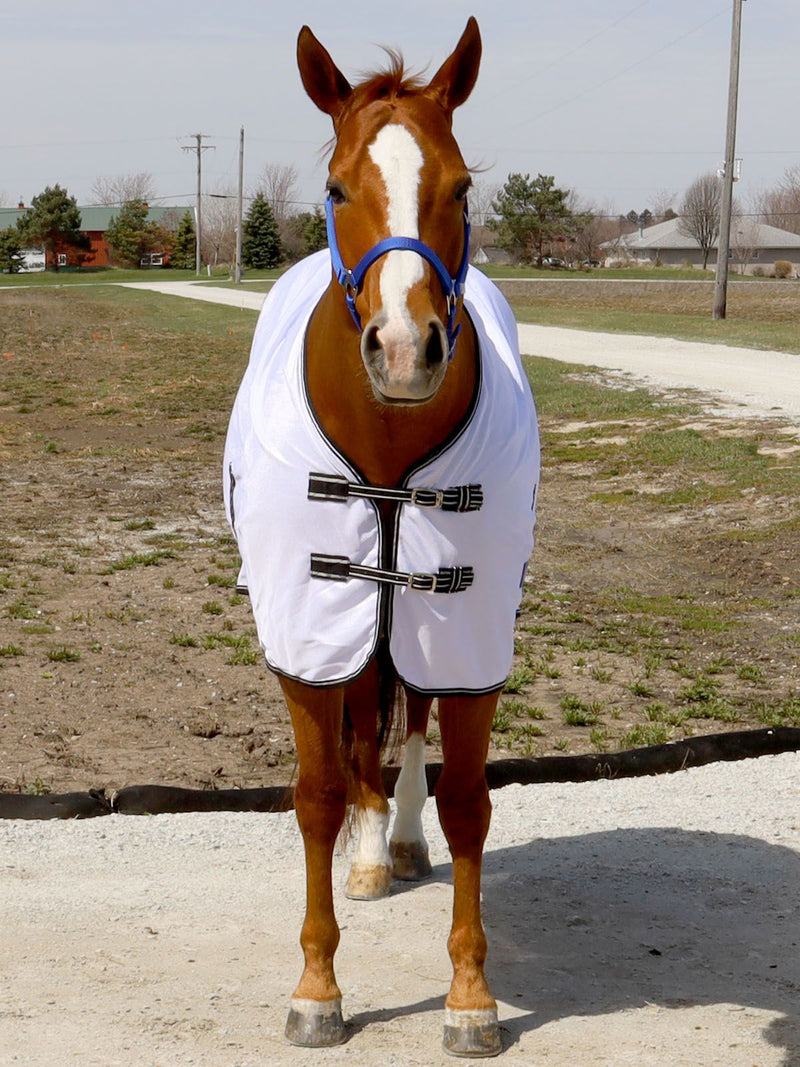 Front view of White/Black BasEQ Standard Neck Fly Sheet Fly Sheets One Stop Equine Shop